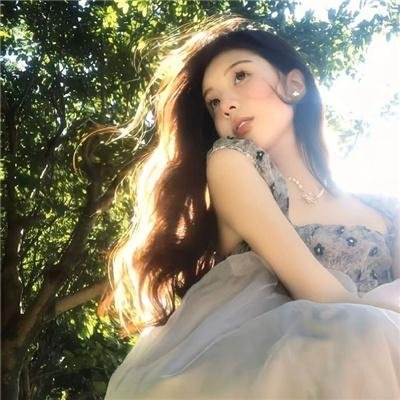 总统